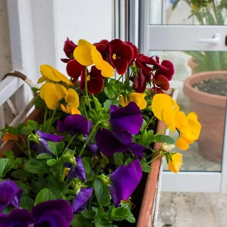 Apartamento I Giardini Di Edicart