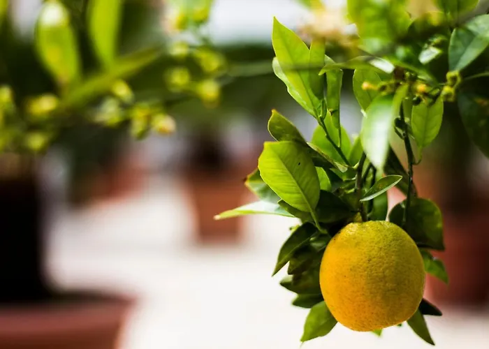 Apartamento I Giardini Di Edicart Bari