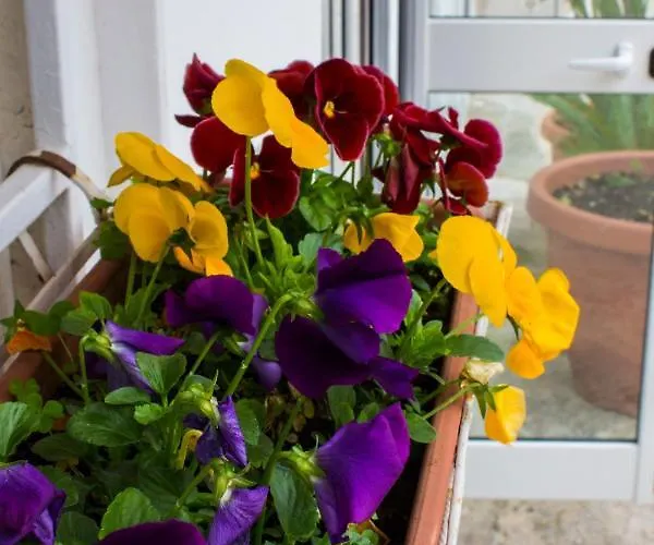 Apartamento I Giardini Di Edicart